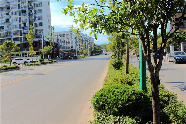 瀝青工程 、道路施工